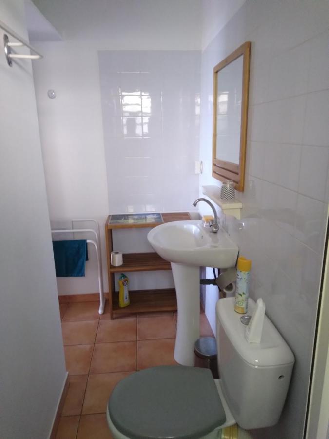 Studio Aux Avirons Pour 2 Personnes, Avec Piscine Les Avirons 外观 照片